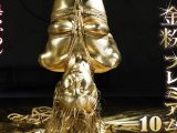 【HD】金粉プレミアム 10 美らかのん